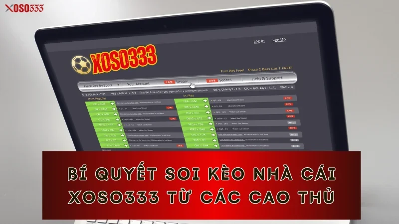 Bí quyết soi kèo nhà cái Xoso333 từ các cao thủ