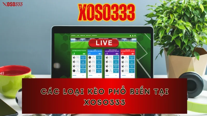 Các loại kèo phổ biến tại Xoso333