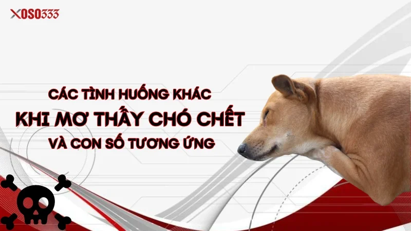 Các tình huống khác khi mơ thấy chó chết và con số tương ứng