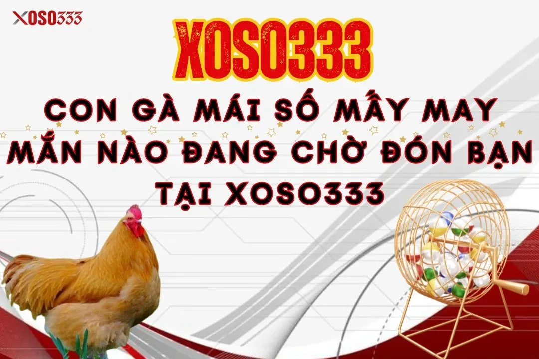 Con gà mái số mấy may mắn nào đang chờ đón bạn tại Xoso333