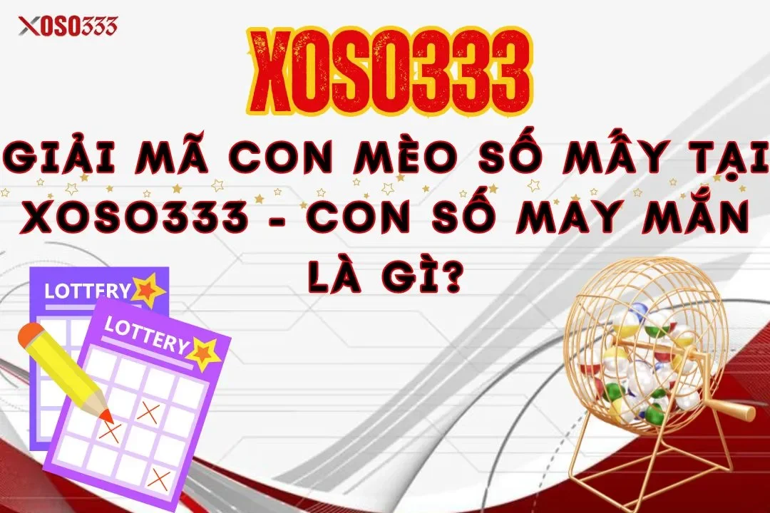 Giải mã con mèo số mấy tại xoso333 – Con số may mắn là gì?