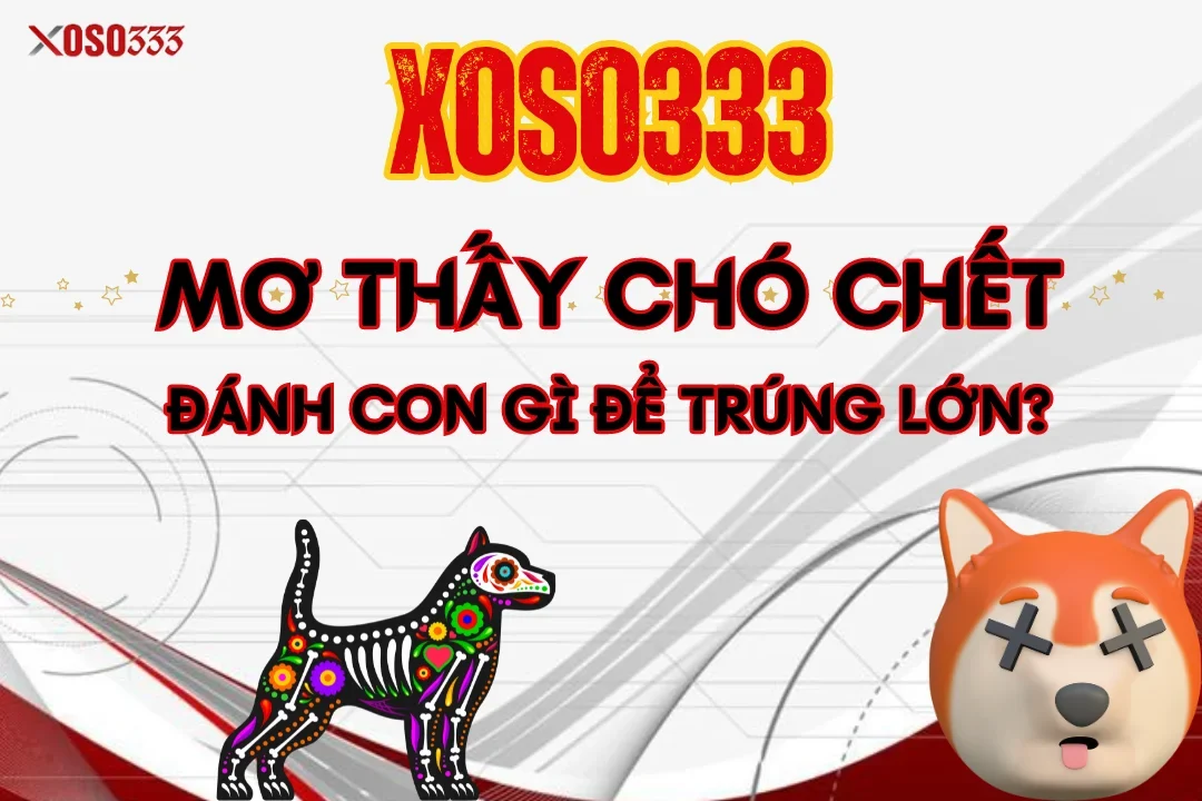 Xoso333 Giải mã mơ thấy chó chết – Đánh con gì để trúng lớn?