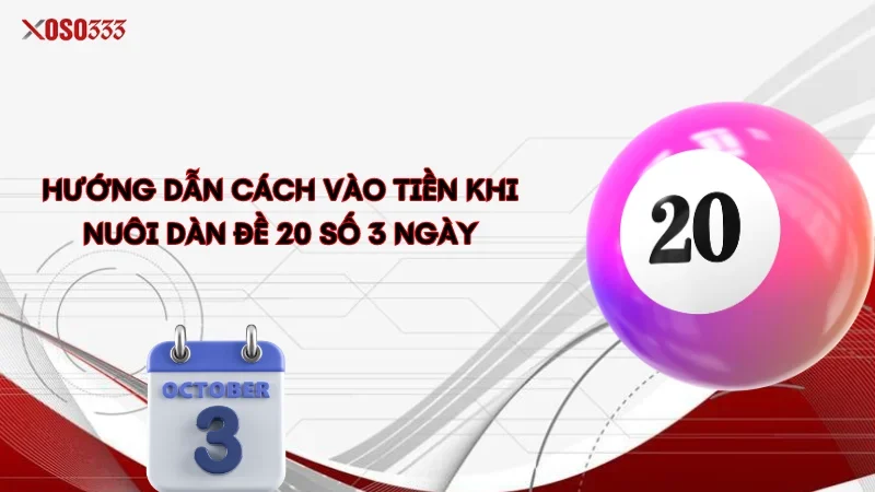 Hướng dẫn cách vào tiền khi nuôi dàn đề 20 số 3 ngày