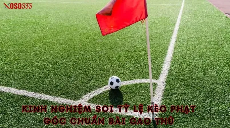 Kinh nghiệm soi tỷ lệ kèo phạt góc chuẩn bài cao thủ