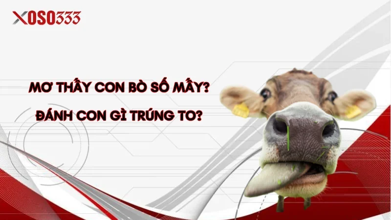 Mơ thấy con bò số mấy? Đánh con gì trúng to?