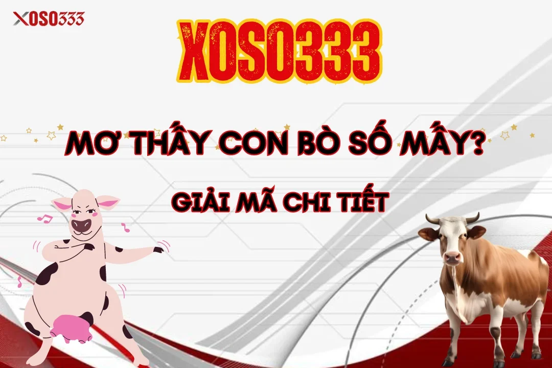 Mơ Thấy Con Bò Số Mấy? Xoso333 Giải Mã Chi Tiết Cực Chuẩn