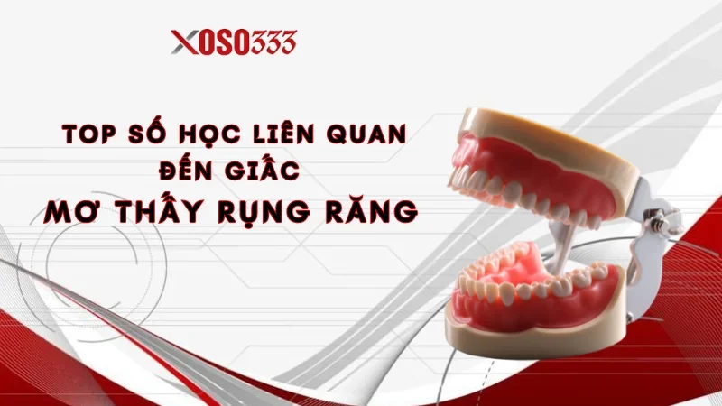 Top số học liên quan đến giấc mơ thấy rụng răng cực chuẩn