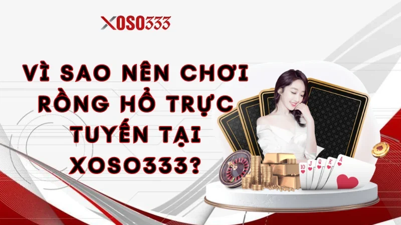 Vì sao nên chơi Rồng Hổ trực tuyến tại Xoso333?