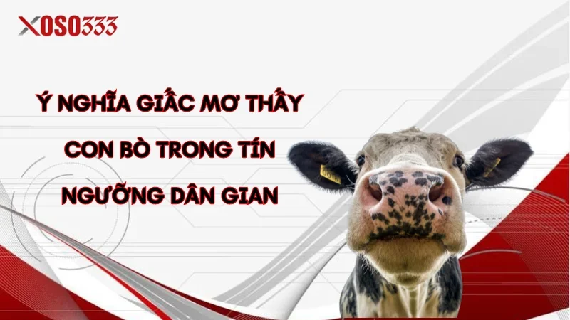 Ý nghĩa giấc mơ thấy con bò trong tín ngưỡng dân gian